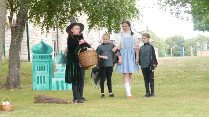 Wizard of Oz Production Success
